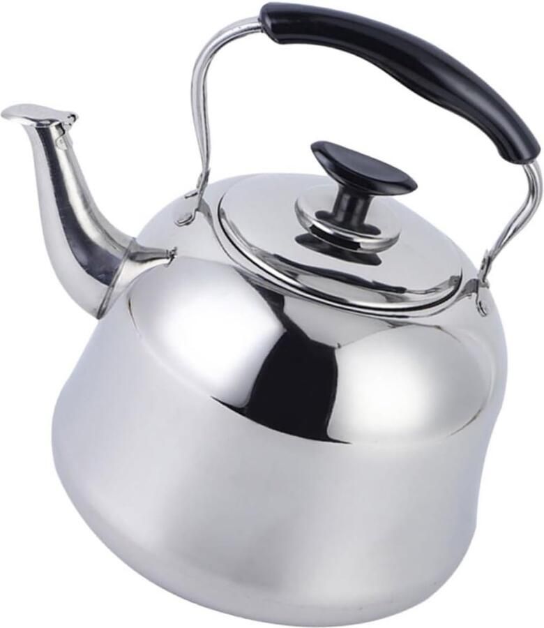 Waterkoker Ketel Theepot RVS Water Verwarmen Fluitend Geluid 6 Liter Zilverkleurig