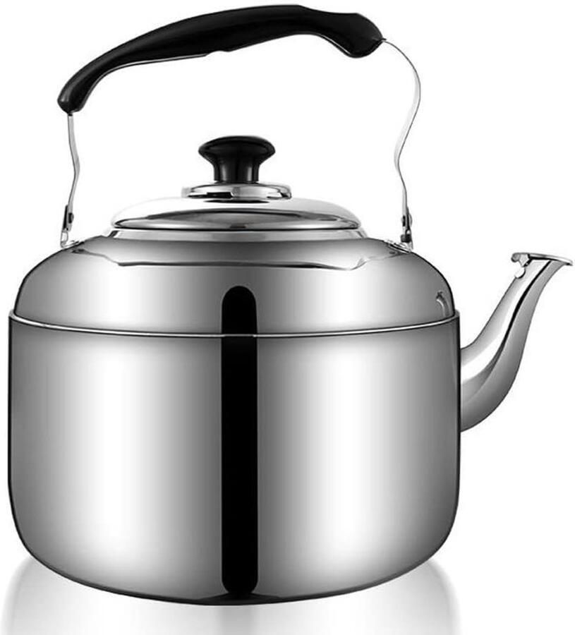 Waterkoker Kookpan Ketel Water Koken Verwarmt Gelijkmatig 3L Zilver