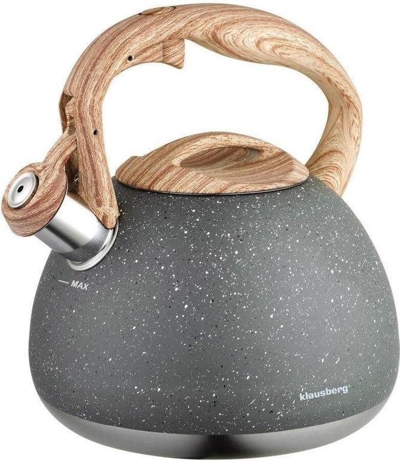Waterkoker Met Fluit Theeketel Ketel Snel Water Koken Groot Volume 2.8L 22x22x20 cm