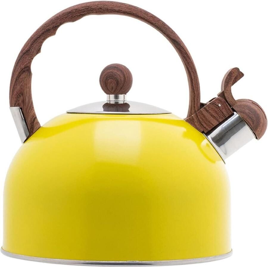 Waterkoker met Fluit Theeketel Roestvrij Staal Thee Zetten Automatisch Fluitapparaat 2.5L Zilver