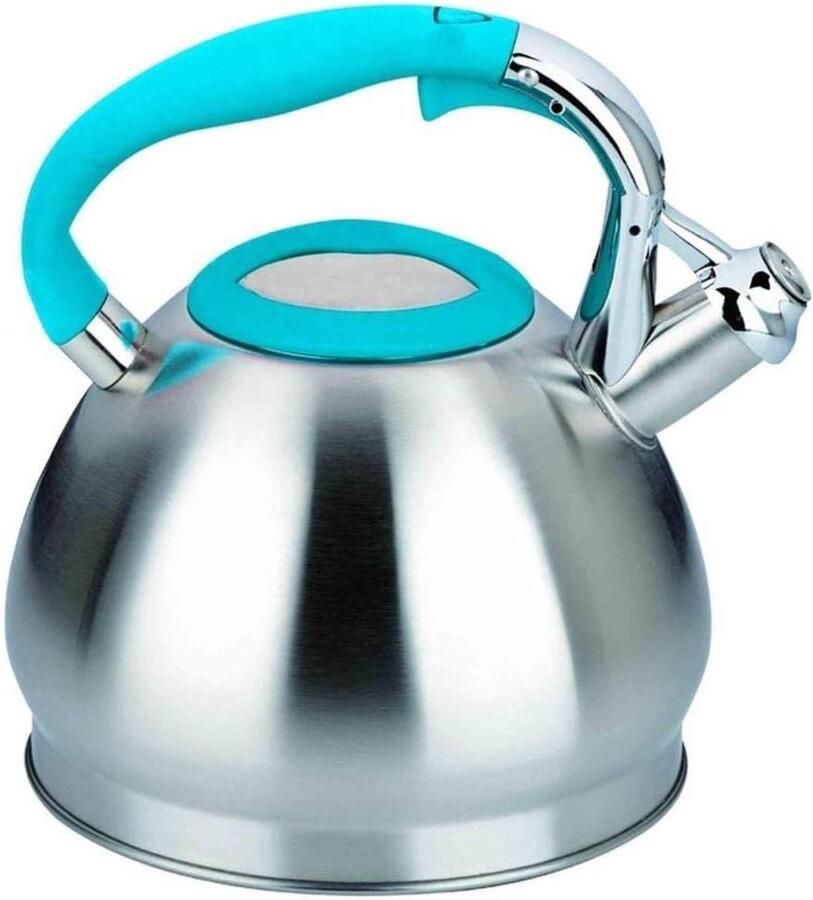 Waterkoker met Fluit Theepot Ketel Warm Water Maken Anti-verbrandingshandgreep 3 Liter Inhoud Groen