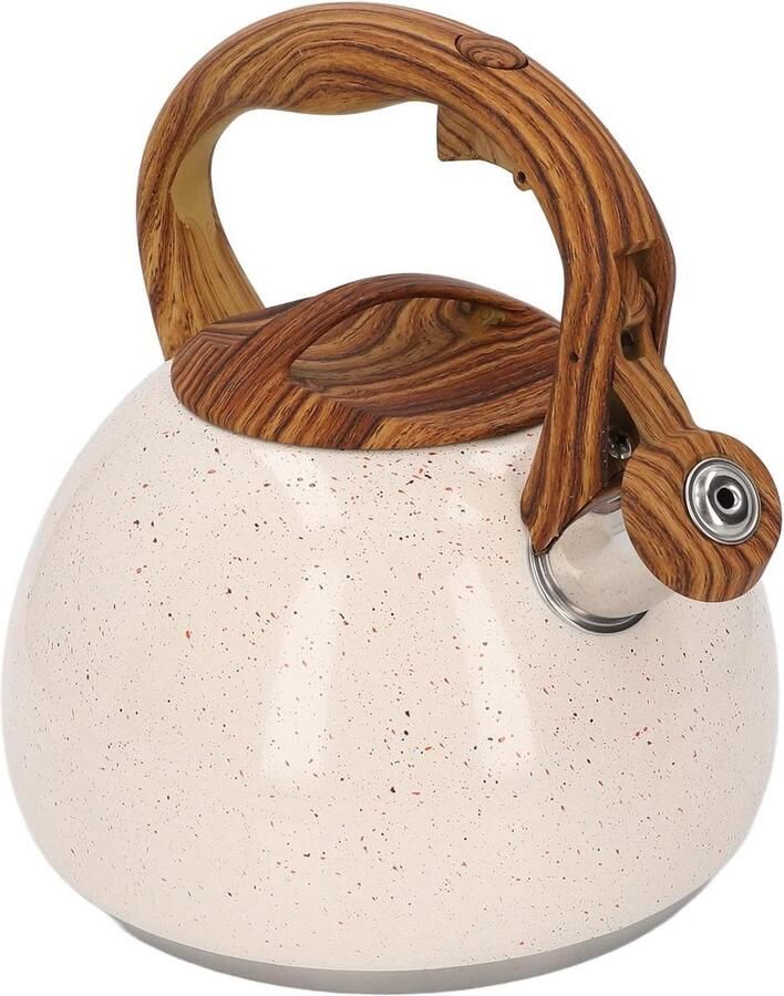 Waterkoker met Fluit Theepot Ketel Water Koken Roestvrij Staal 3 Liter Zilver