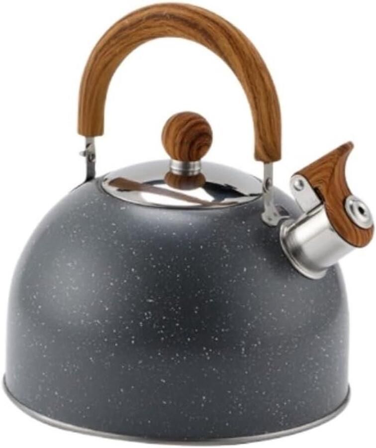 Waterkoker met Fluit Theepot RVS Water Koken Ergonomisch Handvat 2.5 Liter Zilver