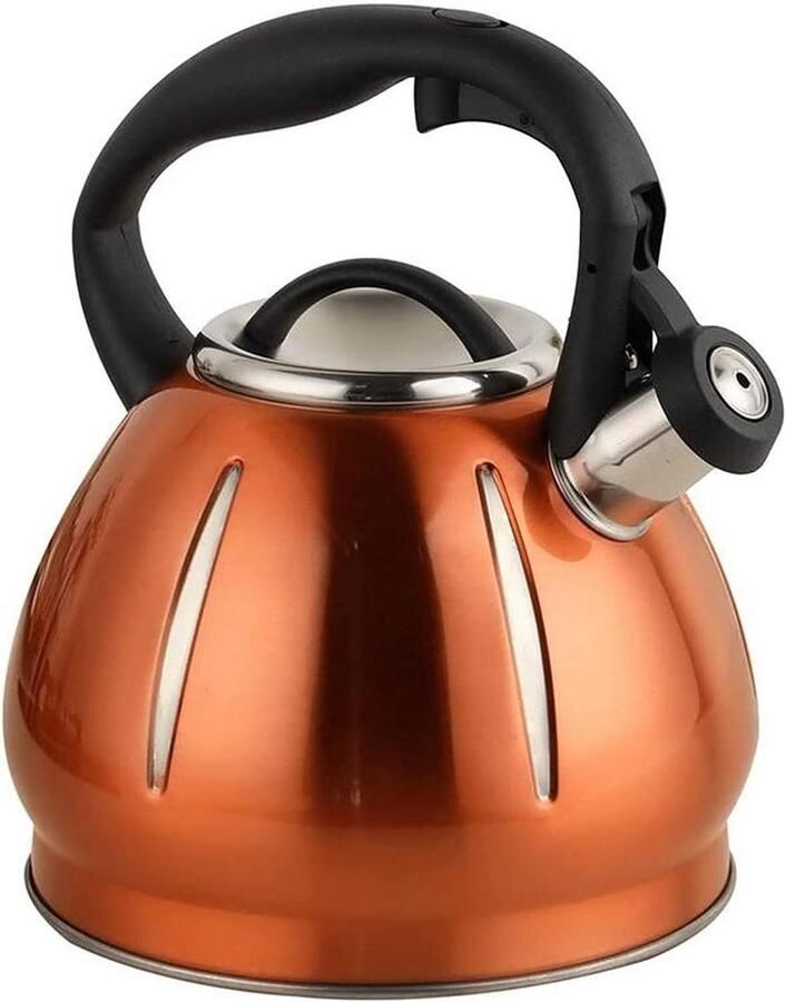 Waterkoker met fluit Theepot RVS Water koken Hittebestendig handvat 3 Liter Wit