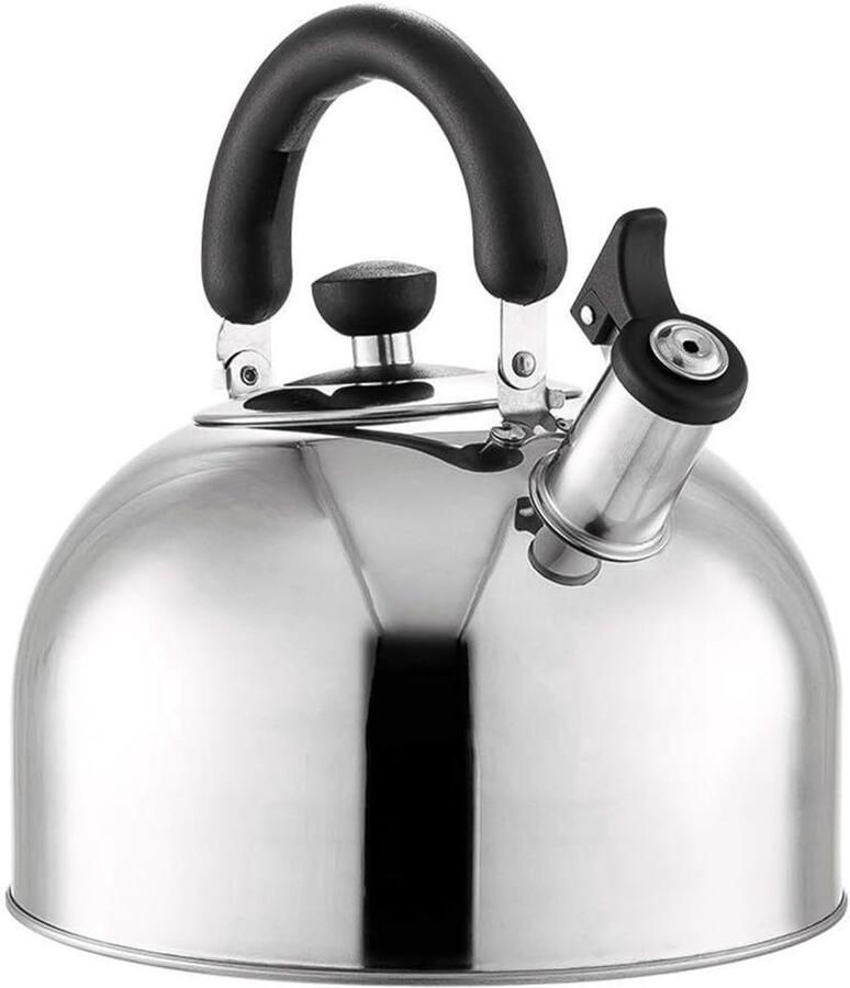 Waterkoker met Fluit Theepot RVS Water Koken Hittebestendig Handvat 5L Zilver