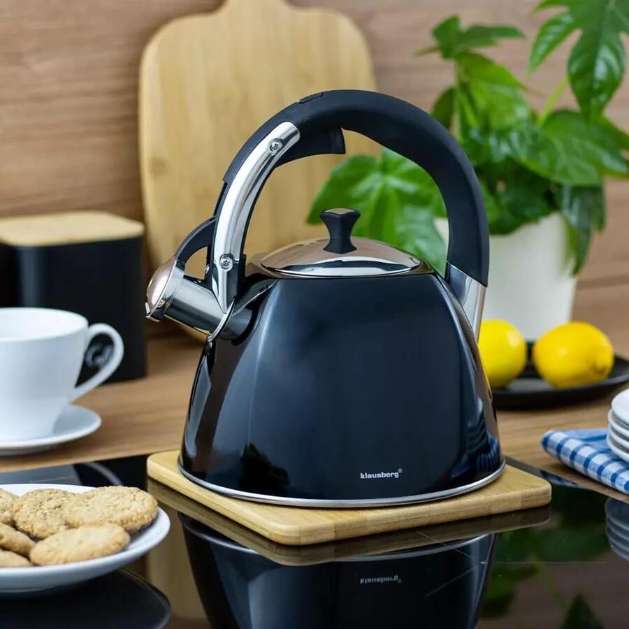 Waterkoker met Fluitje Kookpan Thee Zetten Hittebestendig Handvat 3 Liter Capaciteit Zwart Glanzend