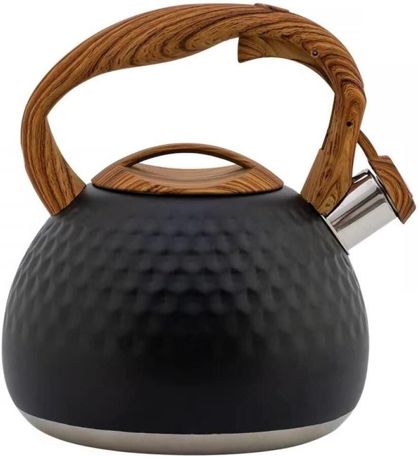 Waterkoker Met Fluitje Kookpan Water Koken Universeel Geschikt 2.8 Liter Zwart