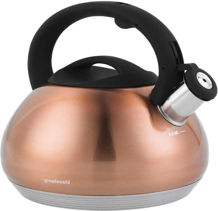 Waterkoker Met Fluitje Kookpan Water Koken Veilig Handvat 2.7 Liter Koperkleurig
