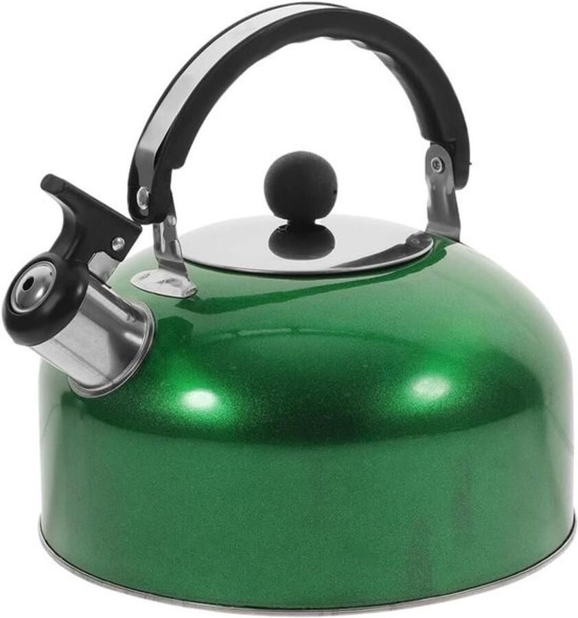 Waterkoker met fluitje Roestvrijstalen theeketel Water koken Luid fluitje 3L Groen
