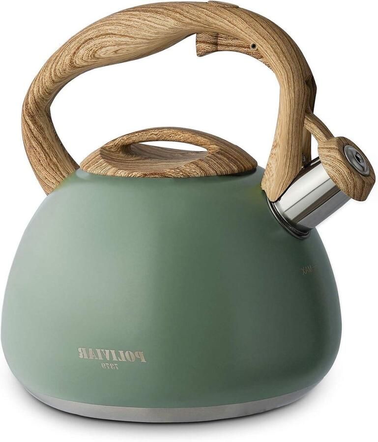 Waterkoker met Fluitje Theeketel Koken en Dranken Roestvrij Staal 2.7 Liter Groen