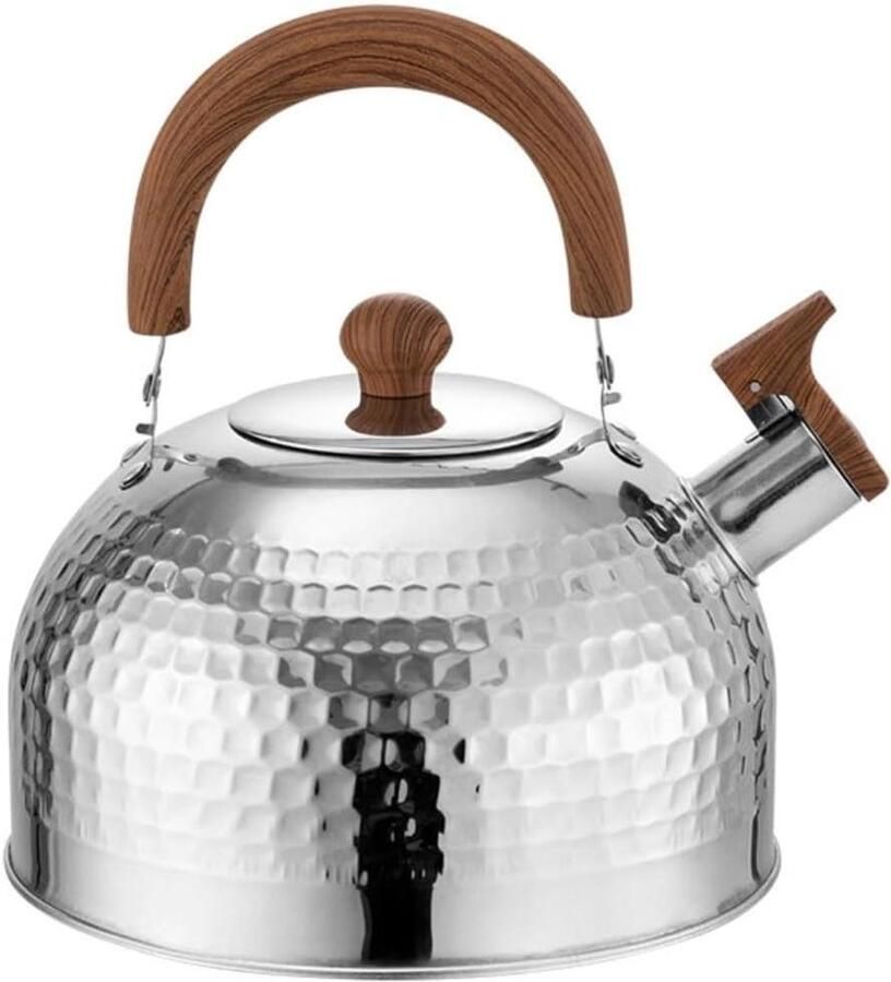 Waterkoker met Fluitje Theeketel Roestvrij Staal Water Koken Anti-verbrandingshandvat 4L Zilver