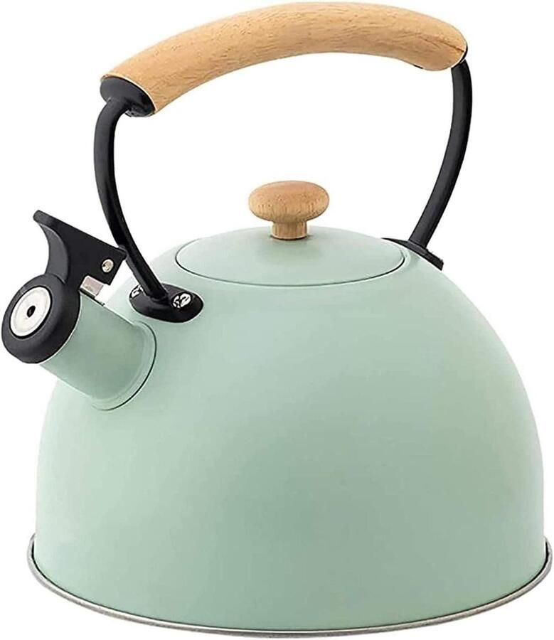 Waterkoker met Fluitje Theeketel Fluitketel Water Koken Roestvrij Staal 3 L Groen