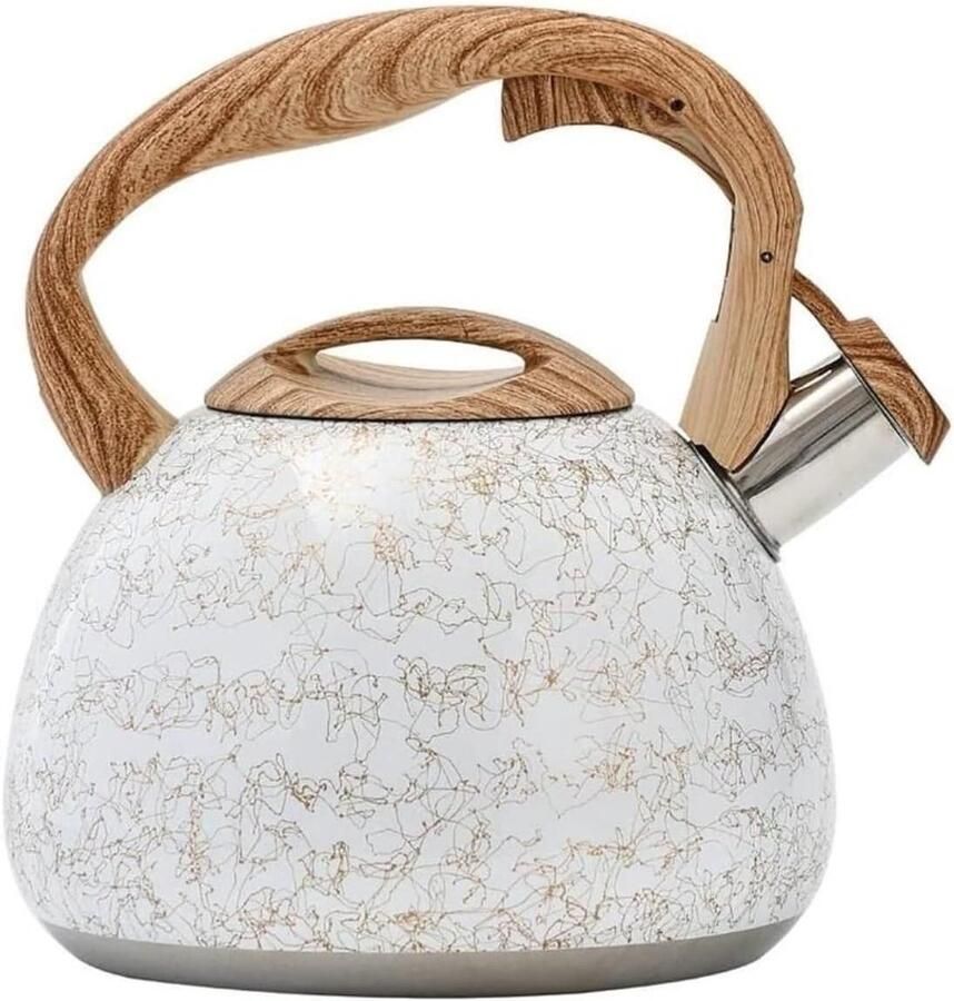 Fluitketel RVS Waterkoker Theepot Water Koken Ergonomisch Handvat 2.8 Liter Zilverkleurig