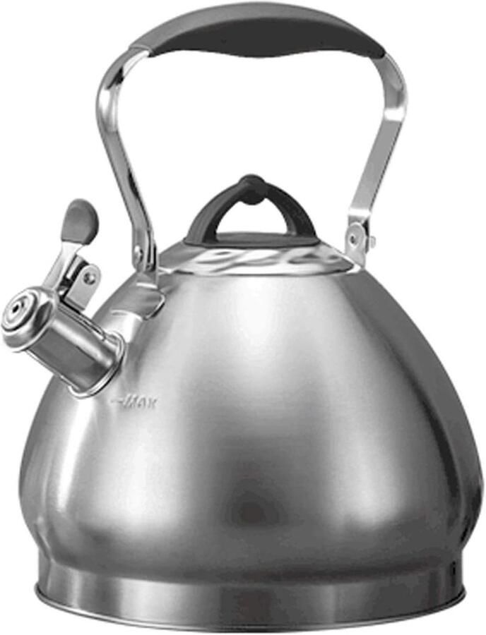 Waterkoker met Fluitje Theeketel RVS Heet Water Maken Automatisch Fluitje 4.3L Zwart