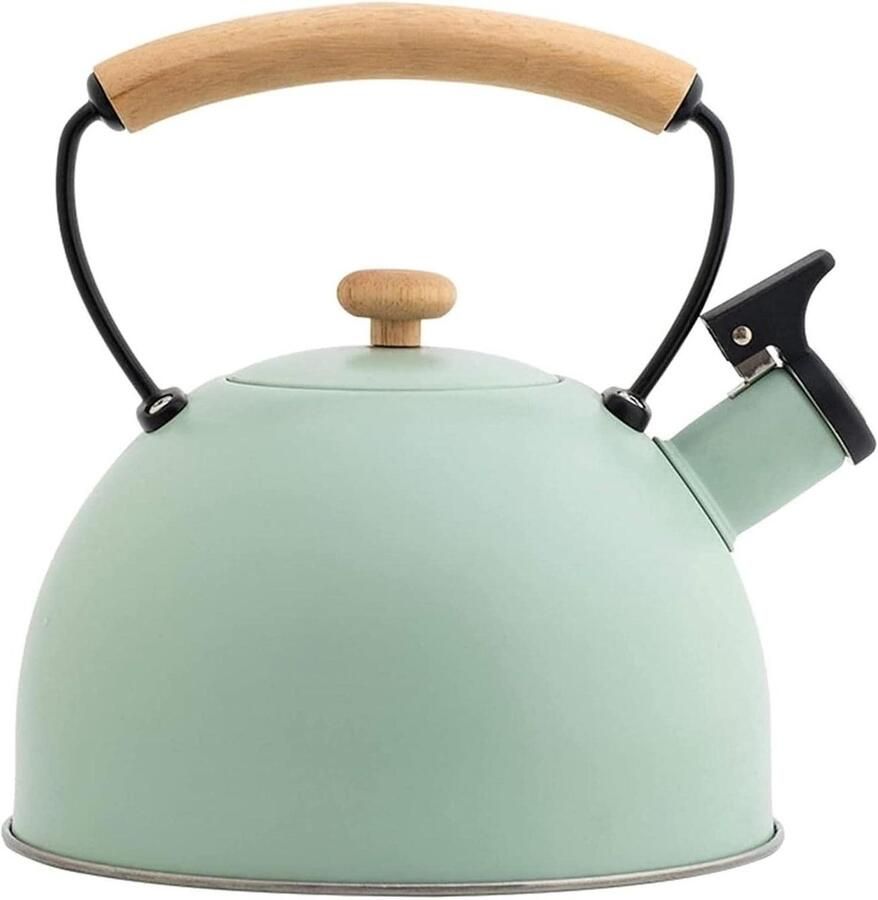 Waterkoker met Fluitje Theeketel RVS Water Koken Geïsoleerd Handvat 3 Liter Lichtgroen