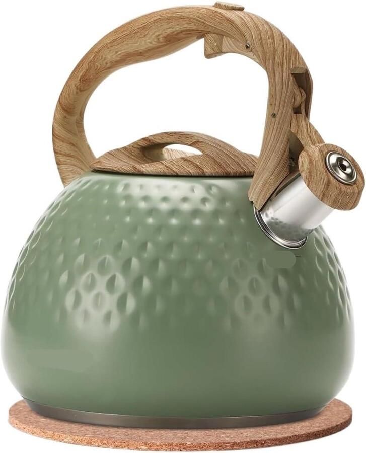 Waterkoker met Fluitje Theeketel RVS Water Koken Hittebestendig Handvat 2.5 Liter Groen
