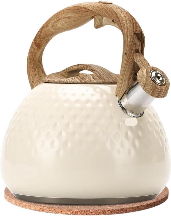 Waterkoker met Fluitje Theepot RVS Water Koken Hittebestendige Handgreep 2.5 Liter Wit