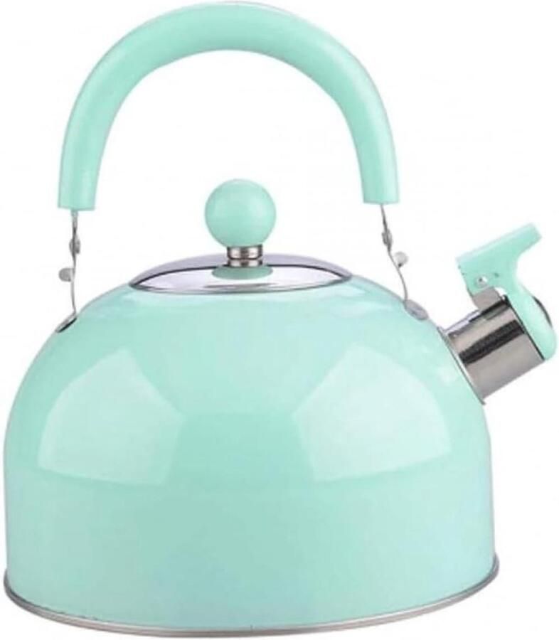 Waterkoker met Fluitje Theeketel RVS Water Koken Non-magnetisch Ontwerp 2.5 Liter Groen
