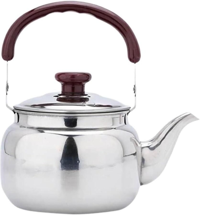 Geklokte Waterkoker Theepot RVS Water Koken Roestvrij Staal 1 Liter Zilver