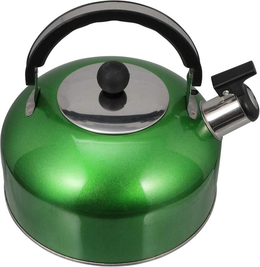 Waterkoker met Fluitje Theepot Ketel Water Koken 304 Voedselkwaliteit RVS 18.5 cm Groen