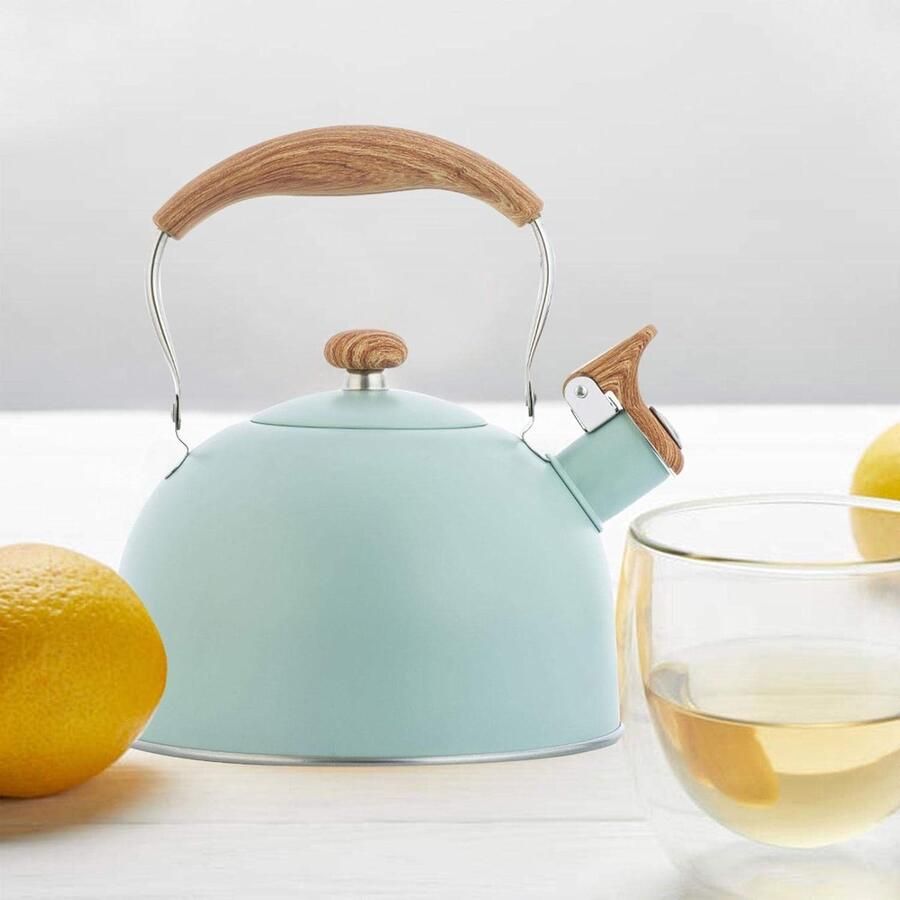 Waterkoker Met Fluitje Theepot Koken Water Koken Geschikt Voor Alle Vuren 2.5 Liter Groen