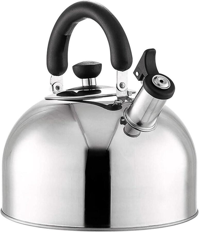 Waterkoker Met Fluitje Theepot Kookplaat Koffie En Thee Roestvrij Staal 6 Liter Blauw Zilver