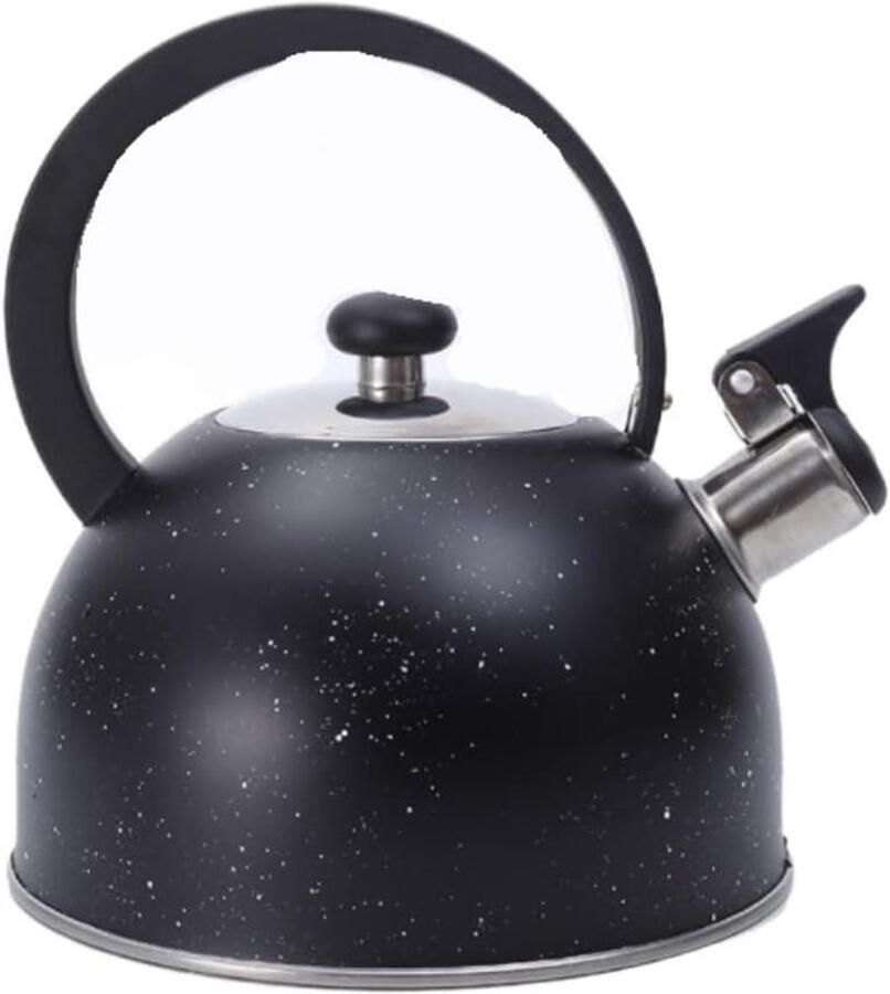 Waterkoker Met Fluitje Theepot Roestvrij Staal Water Koken Ergonomische Handgreep 2.5L Capaciteit Zilverkleurig