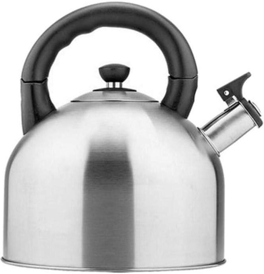 Waterkoker met Fluitje Theepot Roestvrij Staal Water Koken Grote Inhoud 4.4L Zilver