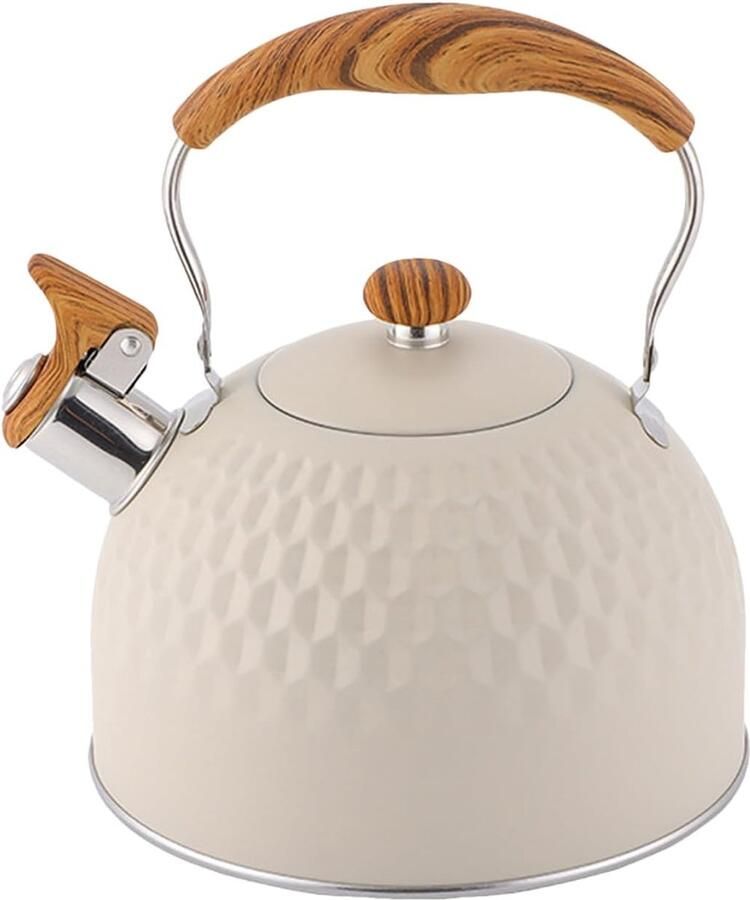 Waterkoker met Fluitje Theepot RVS Warme Dranken Maken Grote Capaciteit 2.5 Liter Zilver