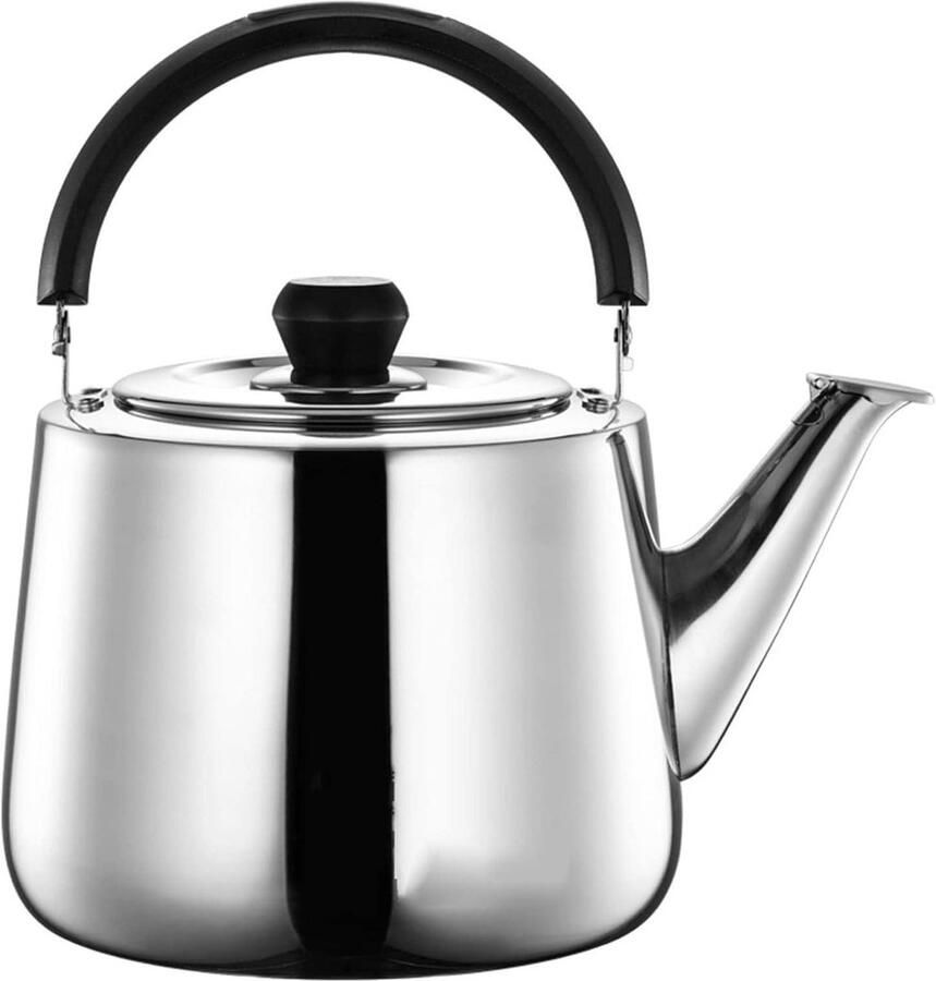 Waterkoker met Fluitje Theepot RVS Water Koken Snelle Verwarming 4 Liter Zilverkleurig
