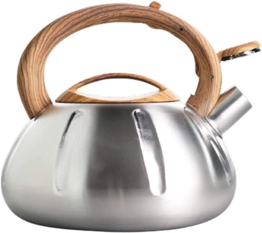 Fluitketel RVS Theepot Waterkoker Water Koken Breed Pottopontwerp 3L Zilver