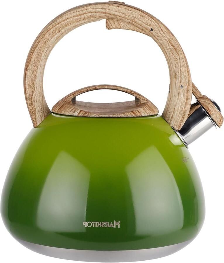 Waterkoker met Fluitje Theepot voor Fornuis Koffie en Thee Roestvrij Staal 2.6 Liter Lichtgroen