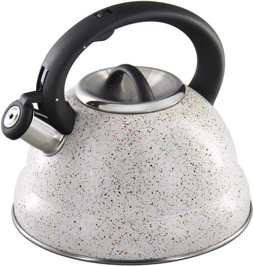 Waterkoker met pijp Theepot RVS Water Koken Fluit bij koken 3 Liter Zilverkleurig
