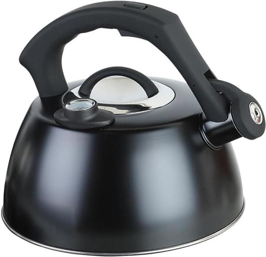 Waterkoker Met Thermometer Theepot RVS Water Koken Roestvrij Staal 2.5 Liter Zilver