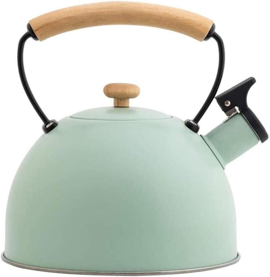 Waterkoker Roestvrij Staal Fluitketel Kookpan Water Koken Schoonmaken Gemakkelijk 22.30X20.40X20.40cm Lichtgroen