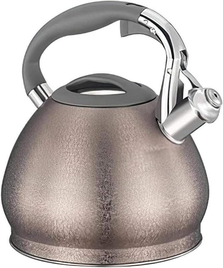 Waterkoker Roestvrij Staal Fluitketel Theeketel Water Koken Automatisch Fluitje 3L Capaciteit Zilver