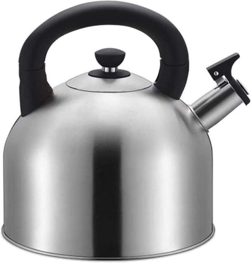 Waterkoker Roestvrij Staal Theeketel Fornuis Thee Zetten Luid Fluitje 4 Liter Zilver