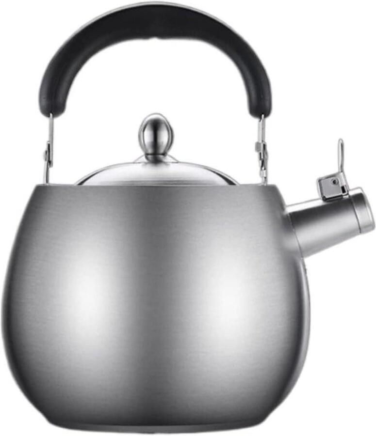 Waterkoker Roestvrij Staal Theeketel Kookplaat Water Koken Automatisch Fluitje 4 Liter Zilverkleurig