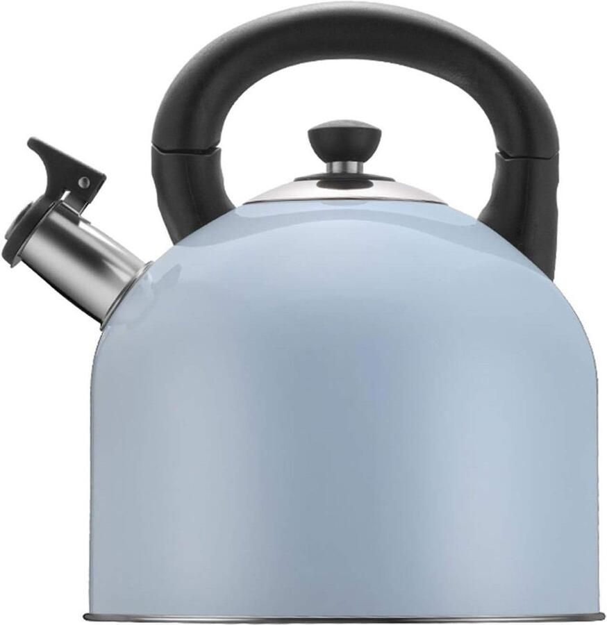 Waterkoker Roestvrij Staal Theepot Fluitketel Water Koken Automatische Fluittoon 4L Blauw
