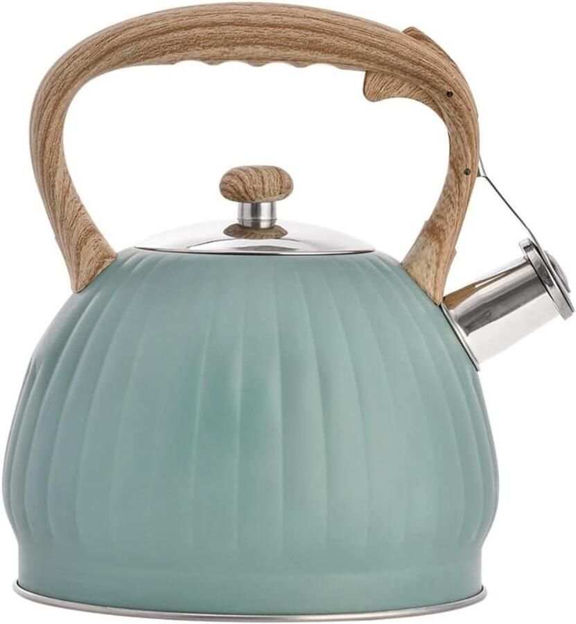 Waterkoker Roestvrij Staal Theepot Ketel Water Koken Ergonomisch Handvat 3 Liter Zilver
