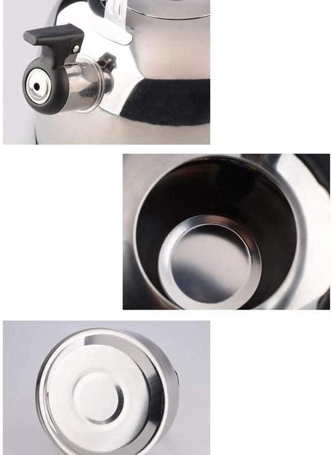Waterkoker Roestvrij Staal Theepot Koffiepot Koken en Dranken Fluitende Ketel 4L Zilver