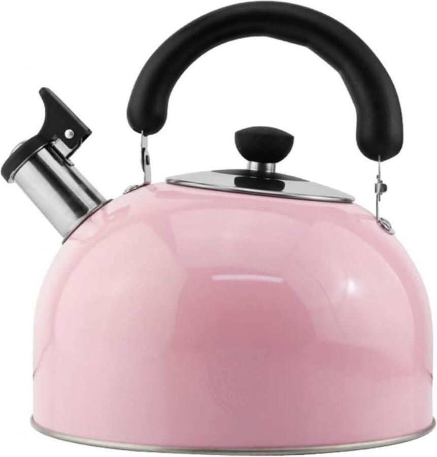 Waterkoker Roestvrij Staal Theepot Kookpan Koken Water Universeel Geschikt 4 Liter Roze