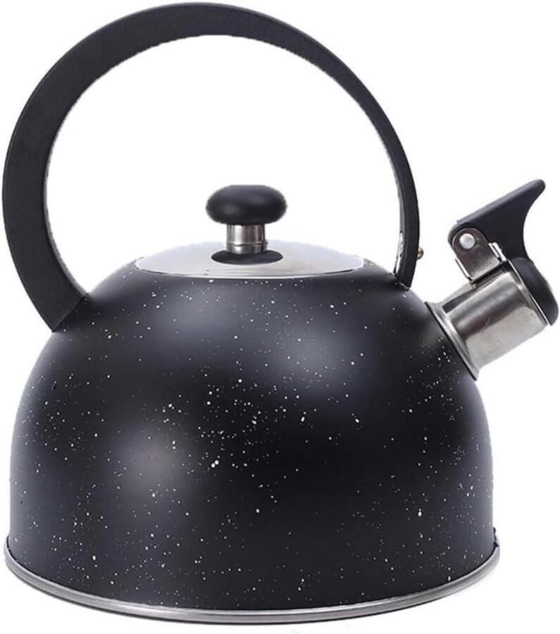 Waterkoker Roestvrijstaal Theeketel Fluitketel Water Koken Anti-brandhandvat 2.5 Liter Zilver