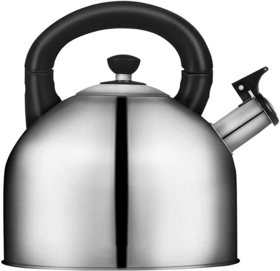 Waterkoker Roestvrijstaal Theeketel Kookketel Water Koken Luid Fluit Signaal 4 Liter Inhoud Zilver
