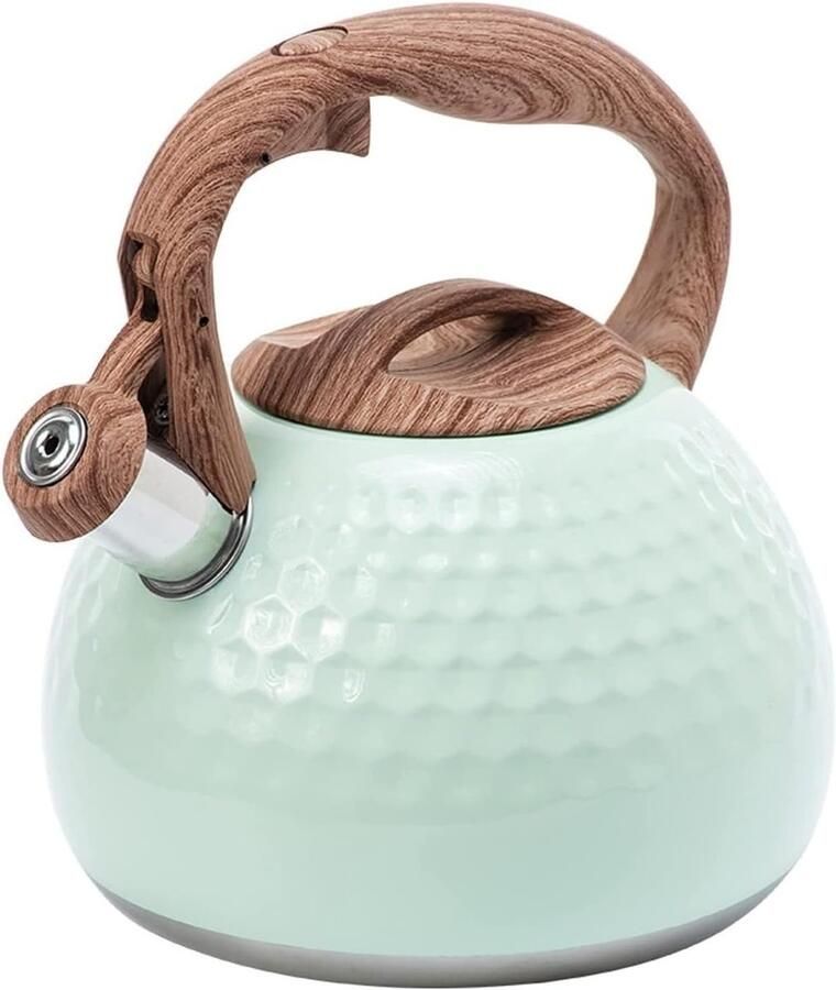Waterkoker Roestvrijstaal Theepot Kookplaat Snel Water Koken Grote Inhoud 2.8L 19.5x22.5cm Groen