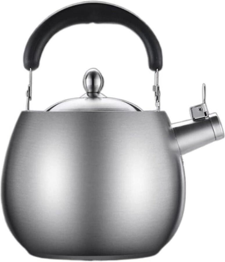 Waterkoker Roestvrijstaal Theepot Kookplaat Water Koken Met Fluitje 4 Liter Zilverkleurig