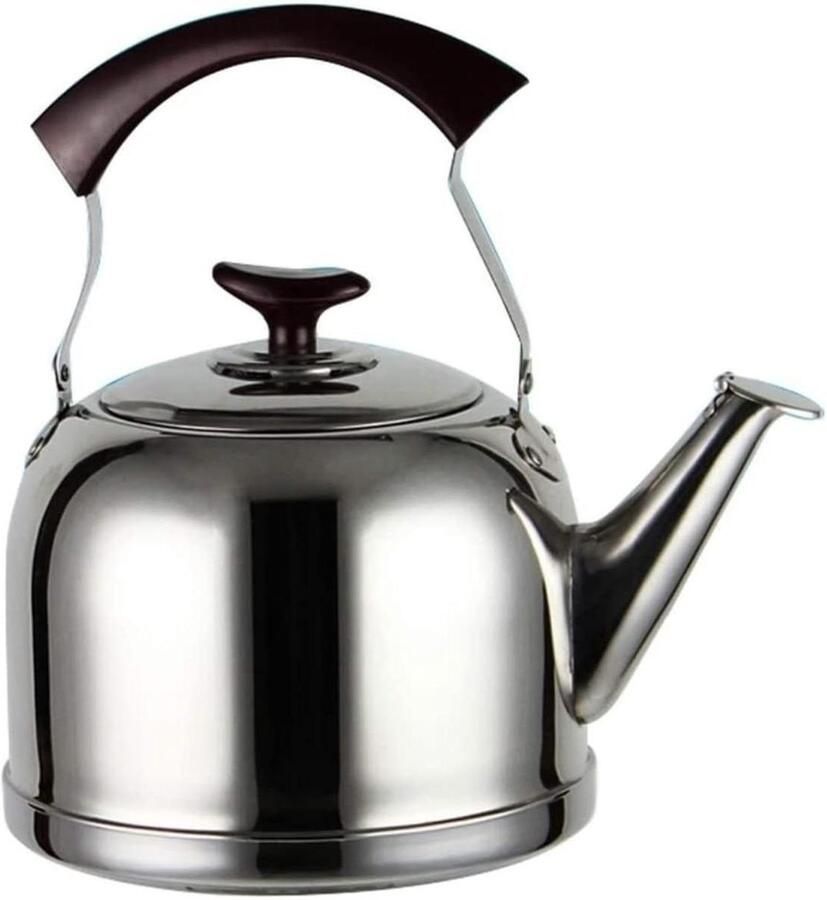 Waterkoker RVS Fluitketel Kookpan Water Koken Automatisch Kookgeluid 5 Liter Zilverkleurig
