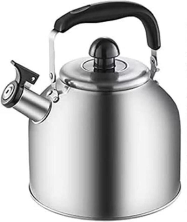 Waterkoker RVS Fluitketel Theeketel Koken Water Klassieke Uitstraling 4L Capaciteit