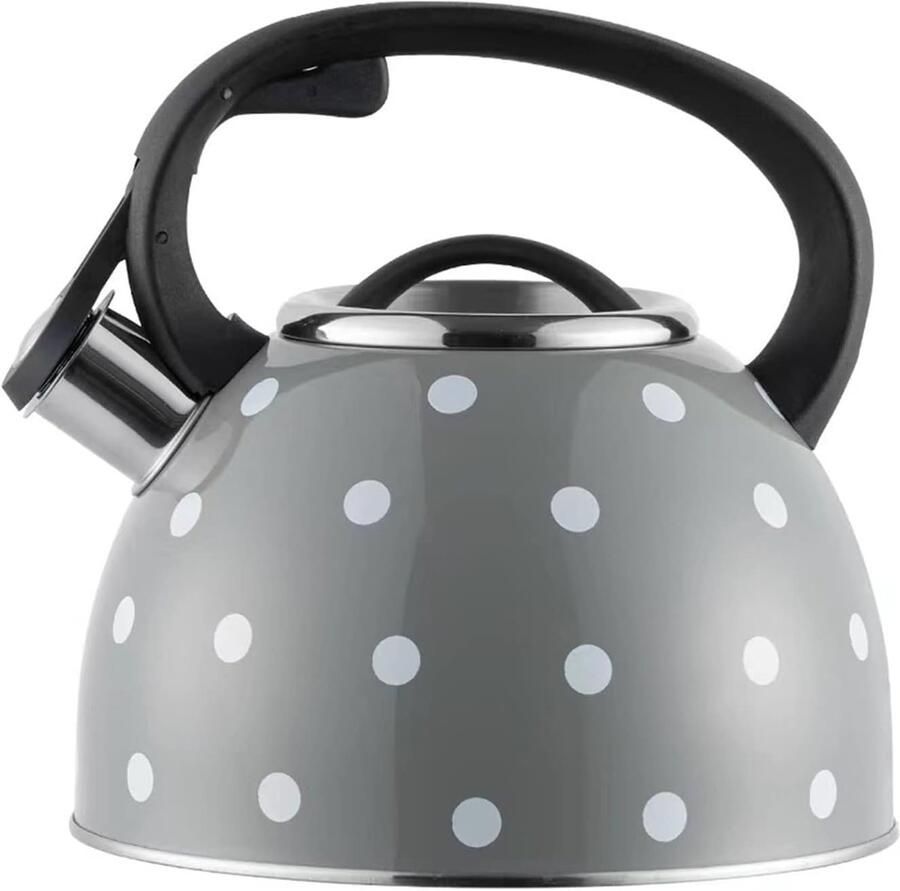 Waterkoker RVS Grote Fluitketel Water Koken Voor Alle Vuren 3 Liter Donkergrijs