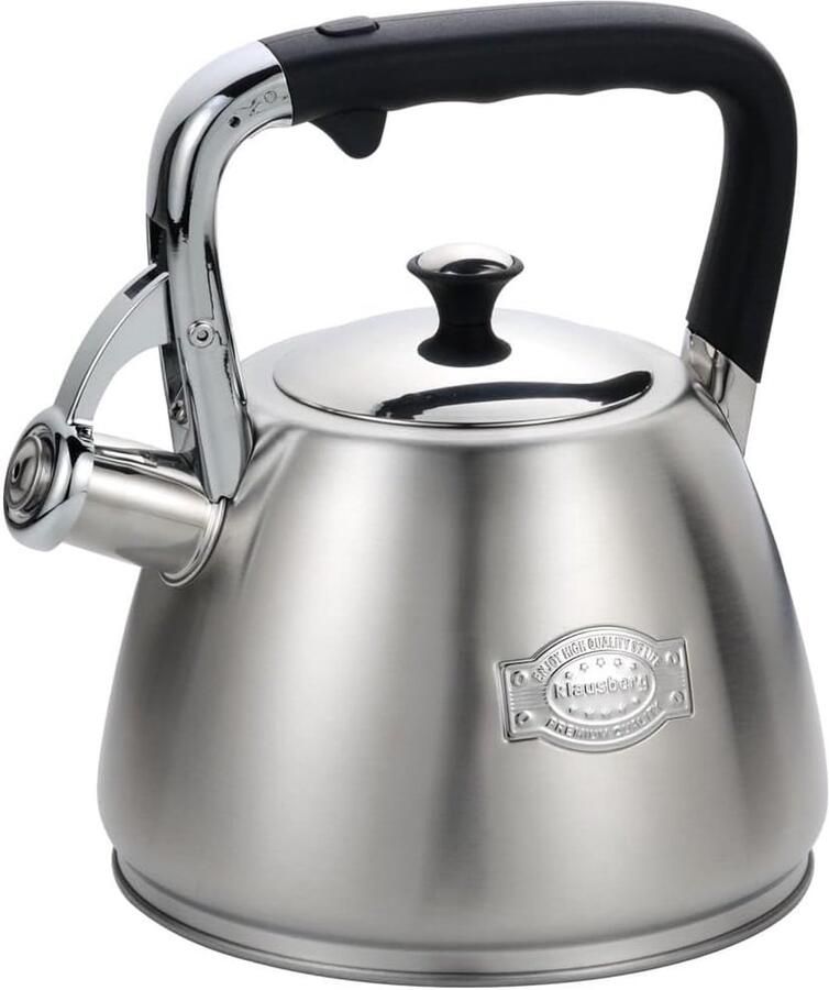 Waterkoker RVS Grote ketel Water koken Fluit bij kookpunt 3 Liter Zilver